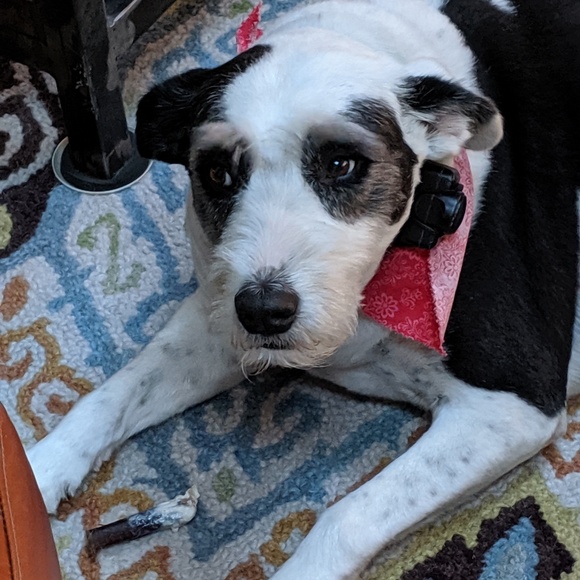 Meet your Posher, Tina - Picture 1 of 1